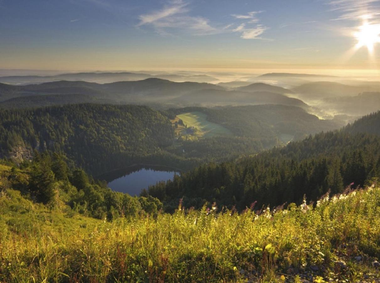Ferienwohnung zwischen Rhein und Schwarzwald Bischweier Exterior foto